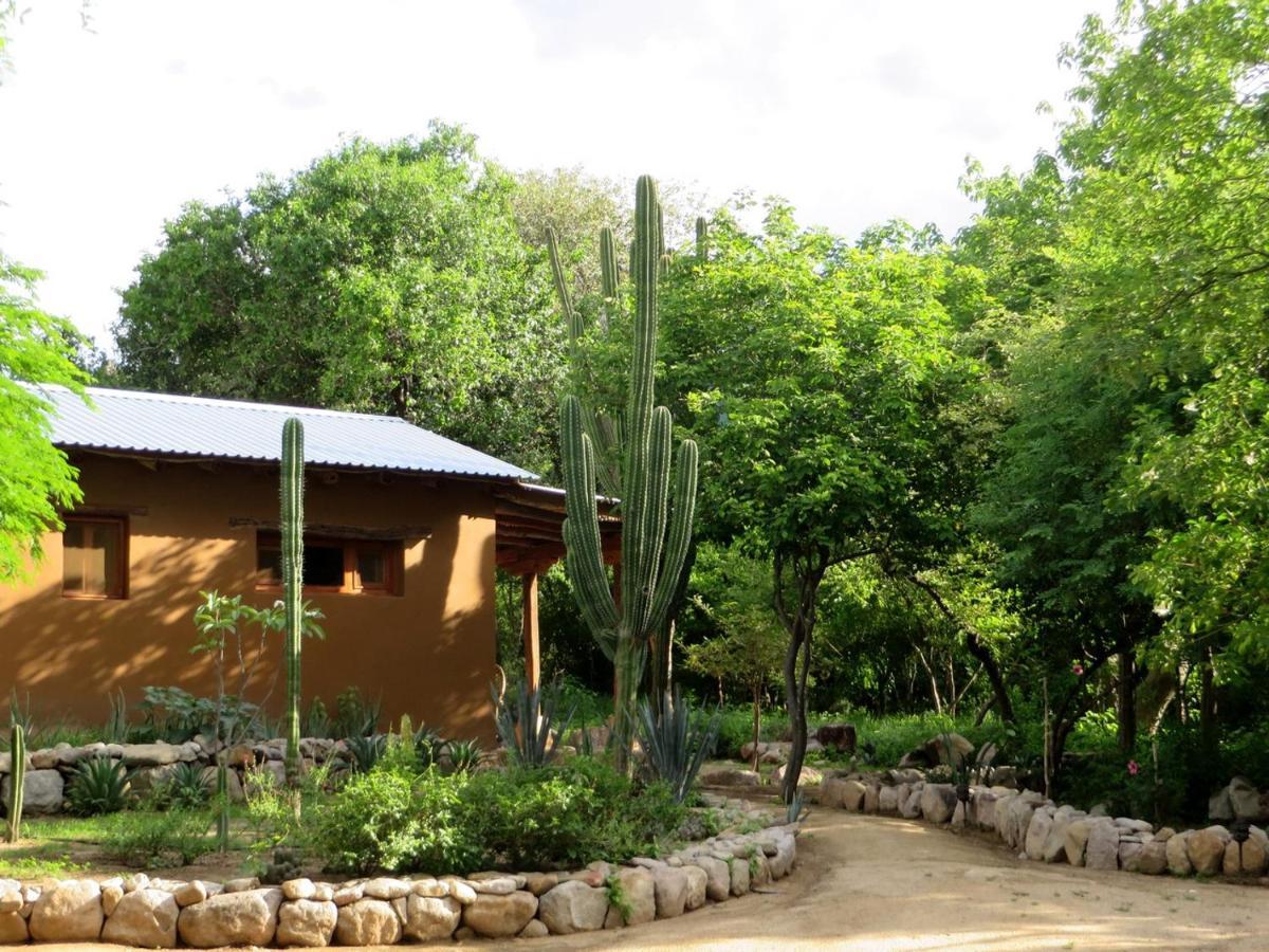 El Pedregal - Hotel En La Naturaleza Álamos Exterior foto